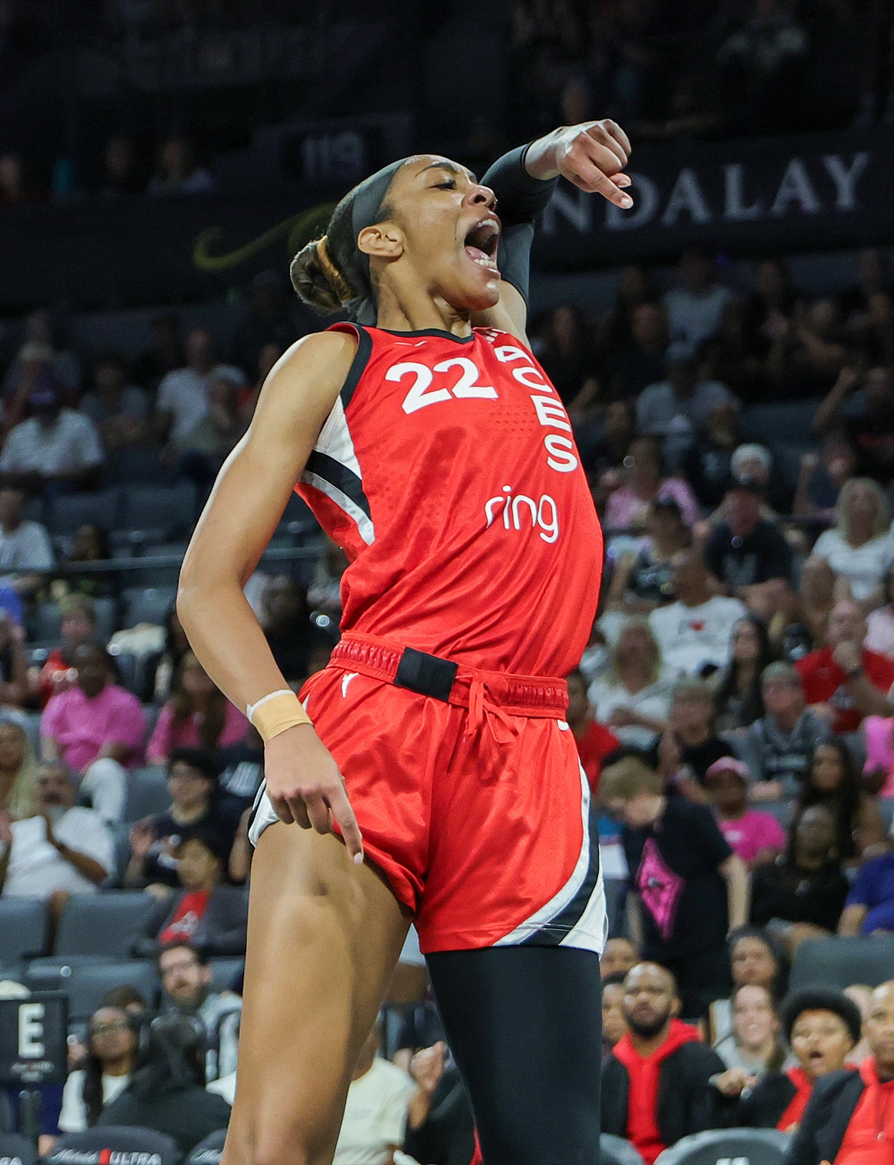 贝基-哈蒙：阿贾不仅是WNBA史上最佳 她更是这颗星球上最好的